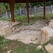 Klastrompuszta - Pálos kolostor romja (14)