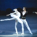 SwanLakeIgorKolbVictoriaTereshkina2 for web