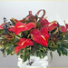 anthurium-center-22-cy-web (Medium)