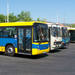 Pécsi busztípusok 1